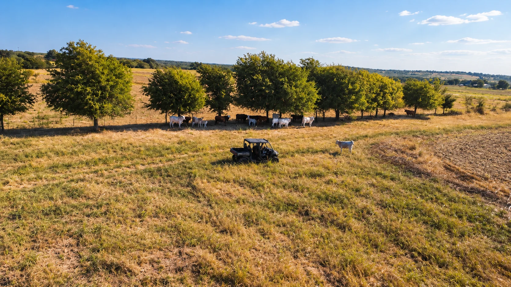TBD Spring Valley Rd, Moody, TX 76557, photo 5
