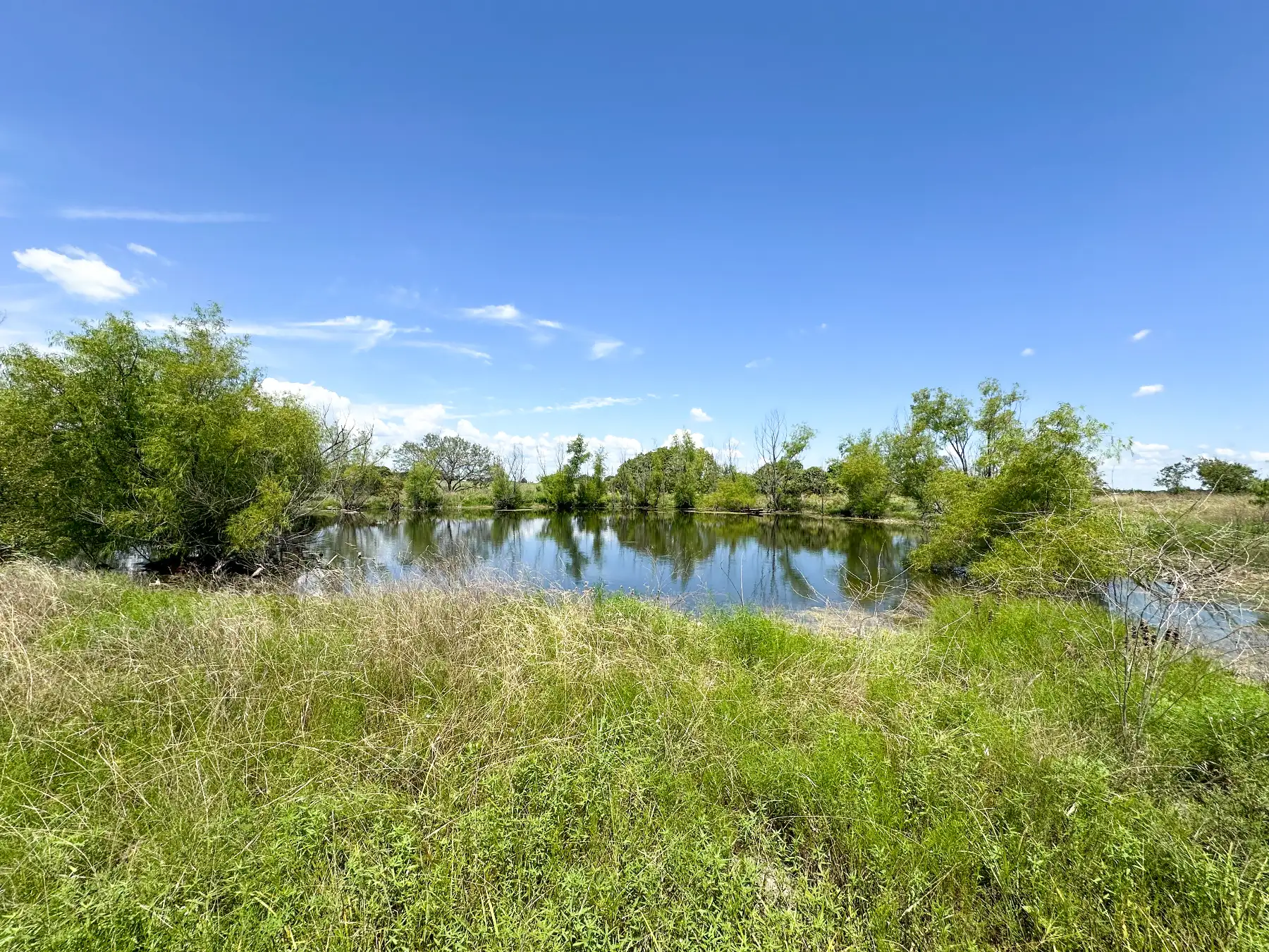 TBD FM 116, Gatesville, TX 76528, photo 9