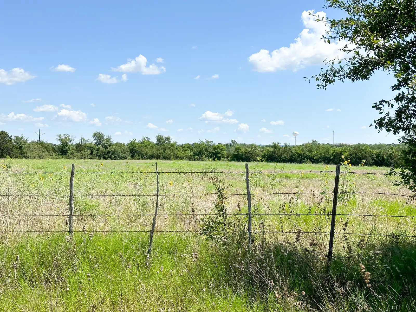 TBD FM 116, Gatesville, TX 76528, photo 11