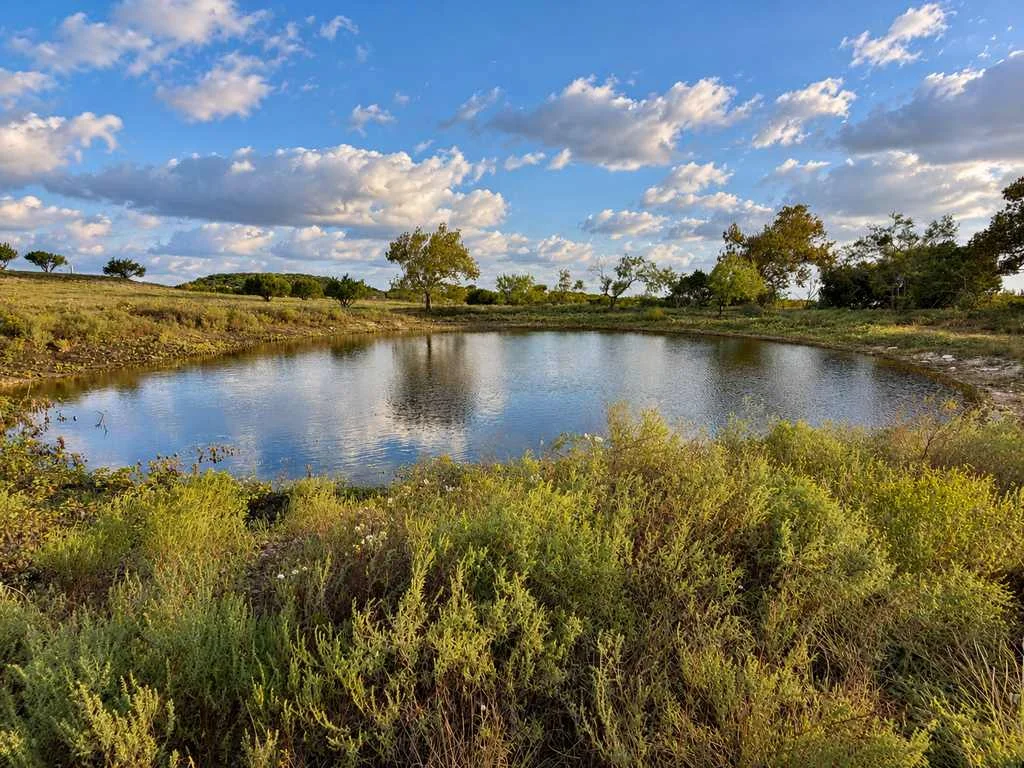 4594 FM 1783, Gatesville, TX 76528, photo 10