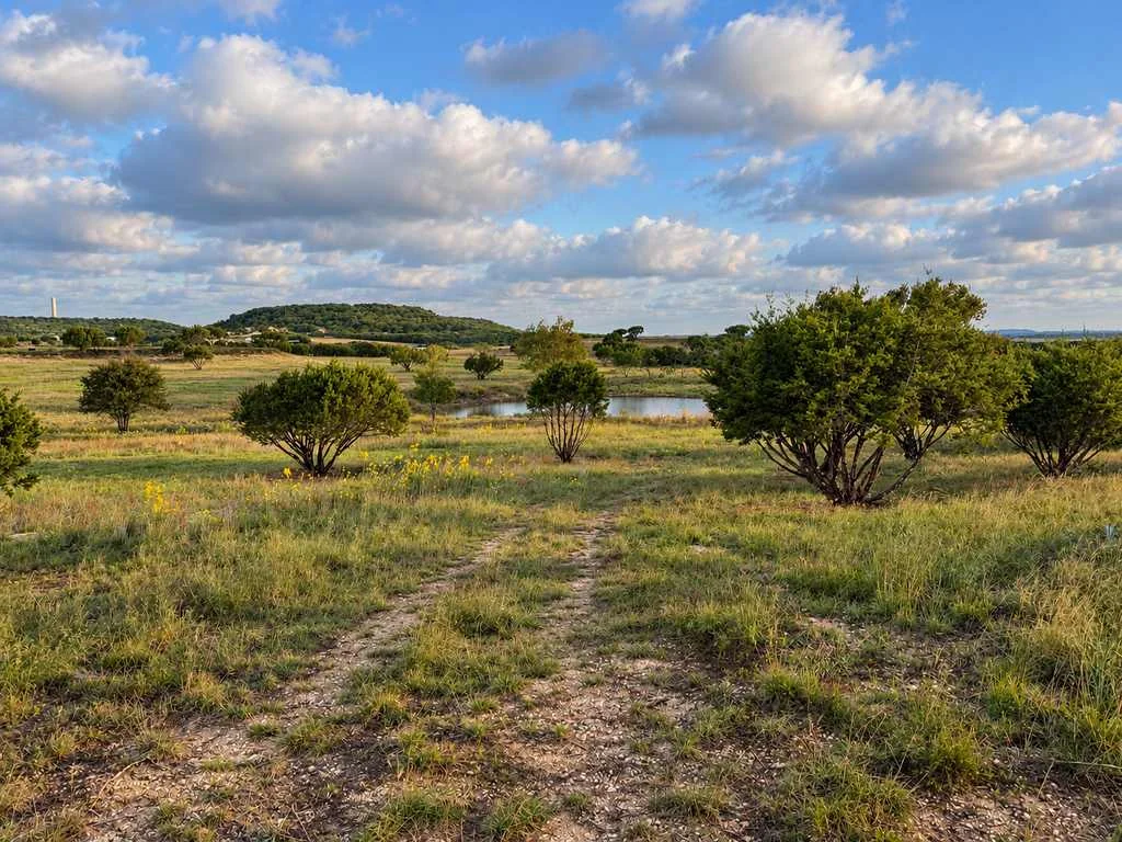 4594 FM 1783, Gatesville, TX 76528, photo 5
