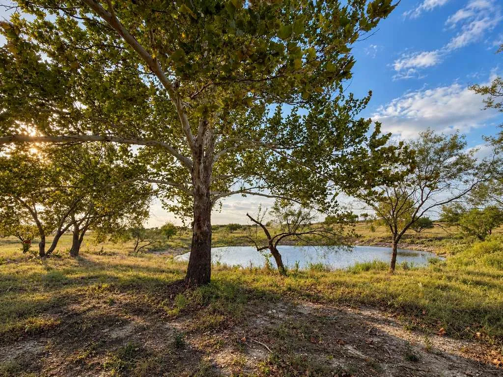 4594 FM 1783, Gatesville, TX 76528, photo 6