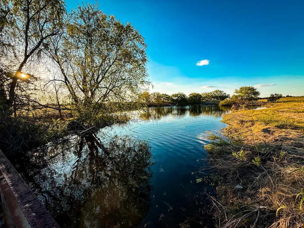 601 CR 60, Gatesville, TX 76528, photo 7