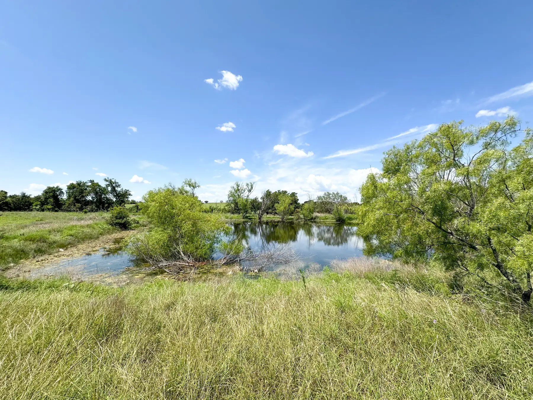 TBD Old Pidcoke Rd, Gatesville, TX 76528, photo 8
