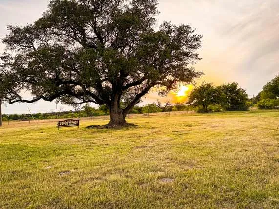 48± Acres located in the heart of Central Texas